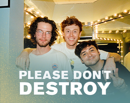 Please Don't Destroy