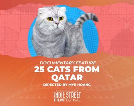 25 CATS FROM QATAR - Documentary Feature Film - ISFF Official Selection