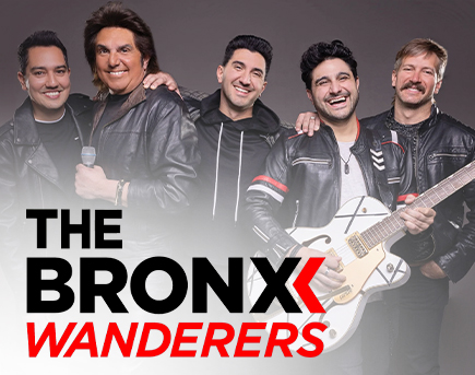 The Bronx Wanderers