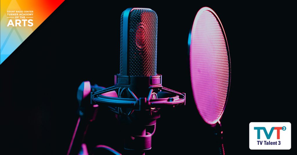 TVT3 VOICEOVER ANIMATION & ADS