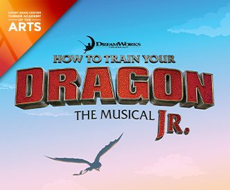 HOW TO TRAIN YOUR DRAGON JR.